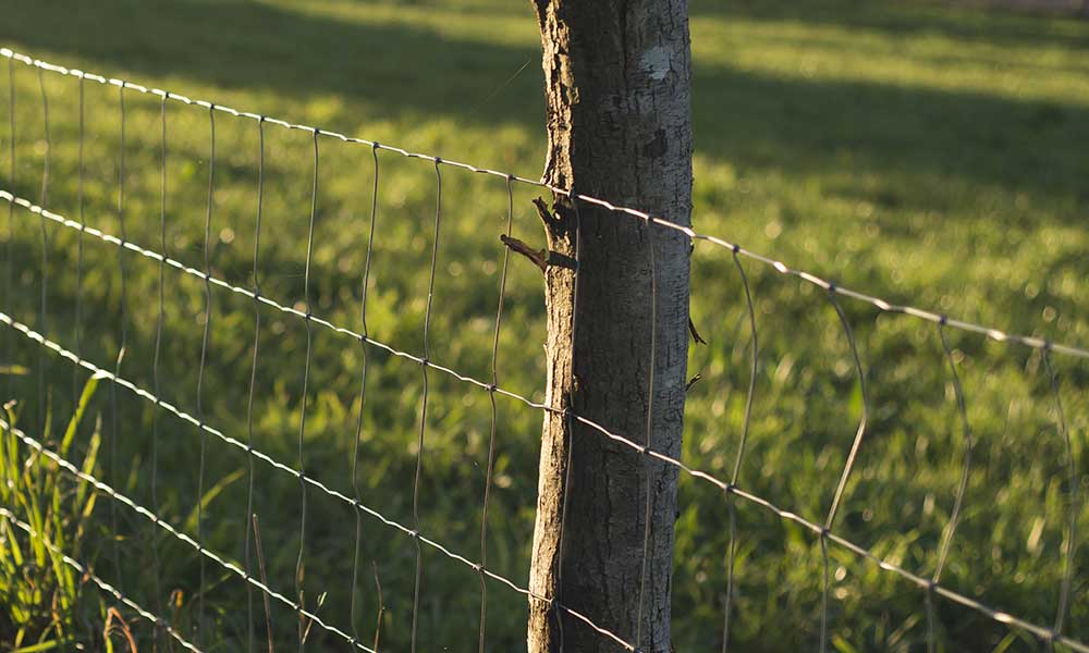 Alambrados, Telas, Palanques e Arames